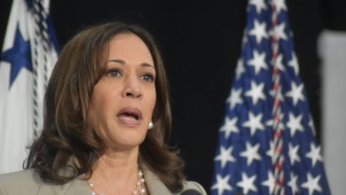 job-growth-plummets-as-us.-adds-just-12,000-jobs-in-october,-raising-economic-doubts-for-harris-days-before-election-–-financial-freedom-countdown