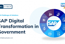 sap-digital-transformation-in-government:-2025-challenges-&-solutions